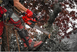 Акумуляторна ланцюгова пила Milwaukee M18 FTHCHS35-802 EU 4933479589 фото 11