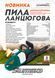 Аккумуляторная цепная пила Sturmax CCM9940CL (40 В, без АКБ и ЗУ) CCM9940CL фото 3