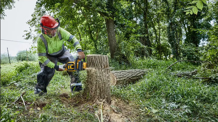 Пила ланцюгова акумуляторна безщіткова DeWALT DCMCS574N DCMCS574N фото