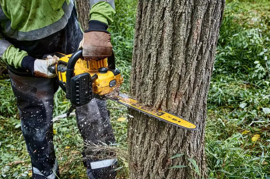 Пила ланцюгова акумуляторна безщіткова DeWALT DCMCS574N DCMCS574N фото