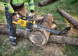 Пила цепная аккумуляторная бесщёточная DeWALT DCMCS575N DCMCS575N фото 5