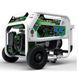 Газобензиновый Genergy NATURA 3000 (3/2,6 кВт) 240051090 фото 1