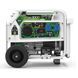 Газобензиновый Genergy NATURA 3000 (3/2,6 кВт) 240051090 фото 5
