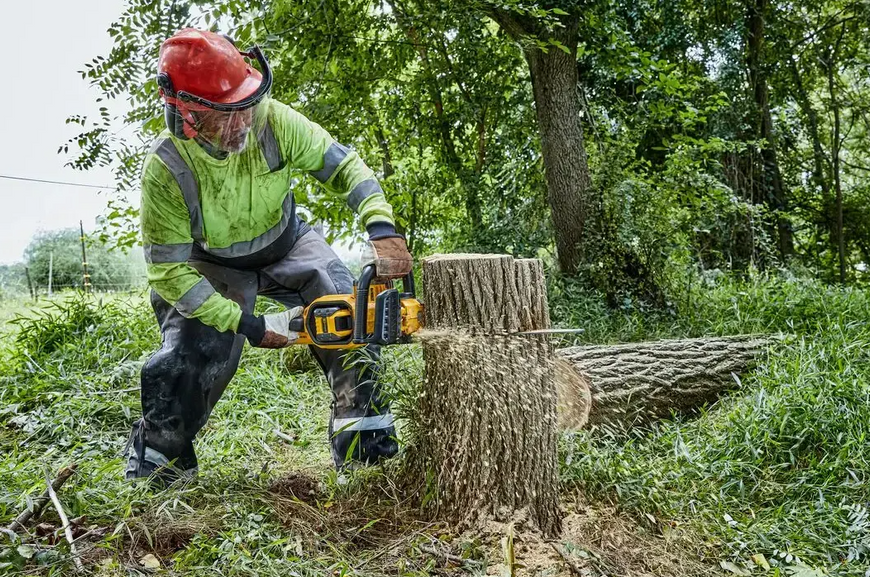 Пила ланцюгова акумуляторна DeWALT DCMCS574X1 DCMCS574X1 фото