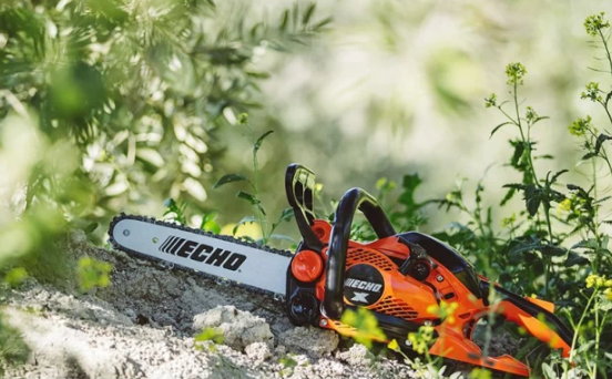 Бензопила ECHO CS-2511WES (1.1 кВт, 30 см) 82374 фото
