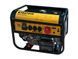 Генератор бензиновий Proteco 51.08-G3-5500 3-5500 фото 1