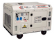 Дизельный генератор TMG Power DG11000MSE