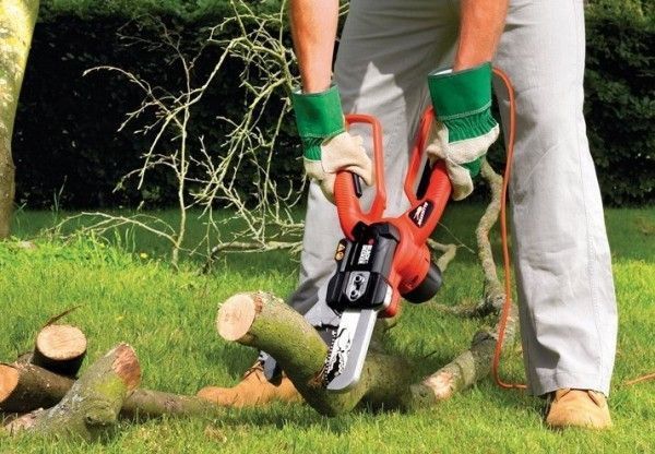 Цепной сучкорез Black&Decker GK1000 GK1000 фото