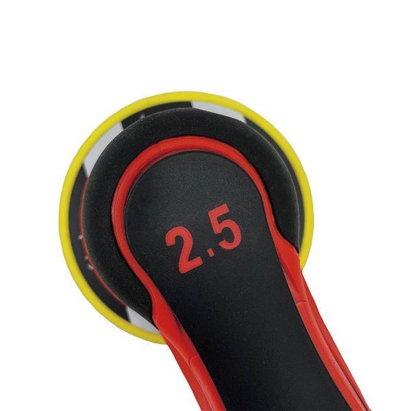 Ексцентрикова шліфмашина ALDO PEGM150-3 BRUSHLESS 004373 фото