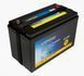 Літій-залізо-фосфатна акумуляторна батарея Vipow LiFePO4 12,8 V 100Ah з вбудованою ВМЅ платою 80A 14 кг 17555 фото 1