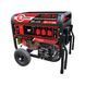 Генератор бензиновый INTERTOOL DT-1155 DT-1155 фото 1
