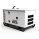 Генератор дизельний GENERGY GDS10M (8 кВт, 230В) 240061090 фото 8