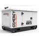 Генератор дизельний GENERGY GDS10M (8 кВт, 230В) 240061090 фото 5