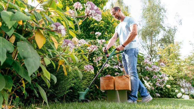 Триммер Bosch EasyGrassCut 26 0.600.8C1.J01 фото