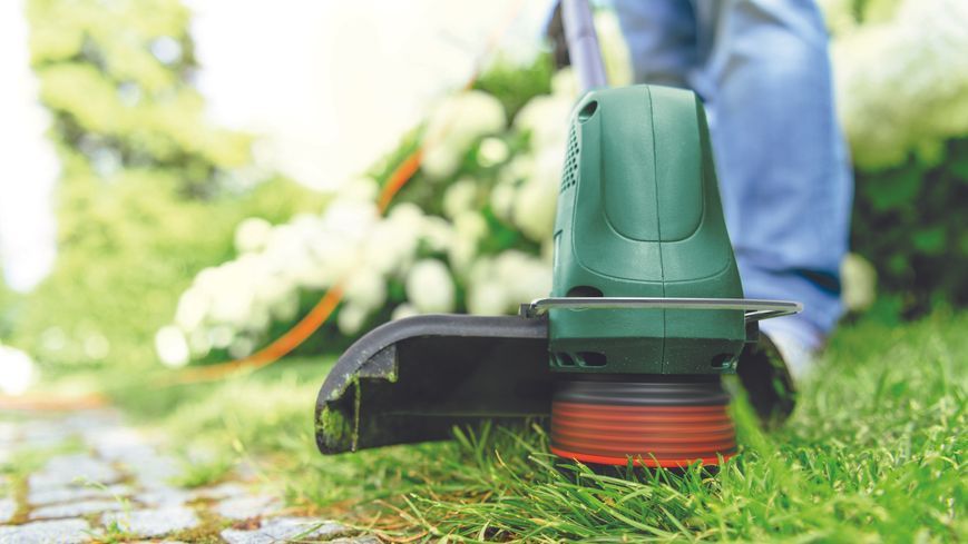 Триммер Bosch EasyGrassCut 26 0.600.8C1.J01 фото