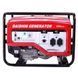 Бензиновый генератор Daishin SGB7001HSA 6кВт 1571217 фото 2