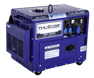 Дизельний генератор THUNDER DRS-12500 DRS-12500 фото
