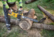 Пила ланцюгова акумуляторна безщіткова DeWALT DCMCS575X1 DCMCS575X1 фото 6
