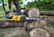Пила ланцюгова акумуляторна безщіткова DeWALT DCMCS575X1 DCMCS575X1 фото 5