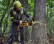 Пила ланцюгова акумуляторна безщіткова DeWALT DCMCS575X1 DCMCS575X1 фото 7